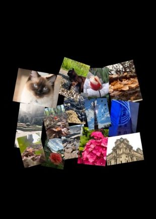 Photographie